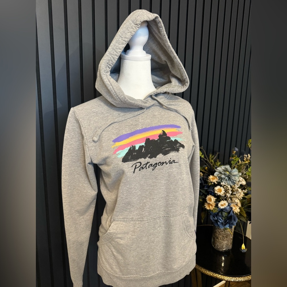 Patagonia Organic Cotton Gray Hoodie